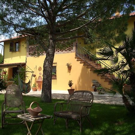 B&B Piceno Castel di Lama Ngoại thất bức ảnh