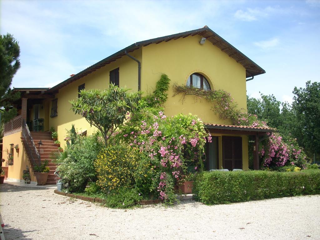 B&B Piceno Castel di Lama Ngoại thất bức ảnh